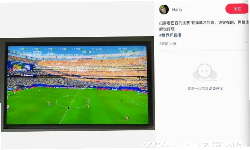 历史命中率展示